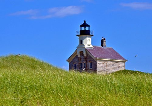 Cow Cove North Light Area Cow Cove North Light Area